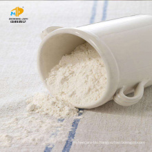 pure Lactic Acid China Supplier improve intestinal flora Lactobacillus Casei powdered probiotics